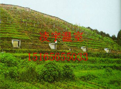 溫室規劃